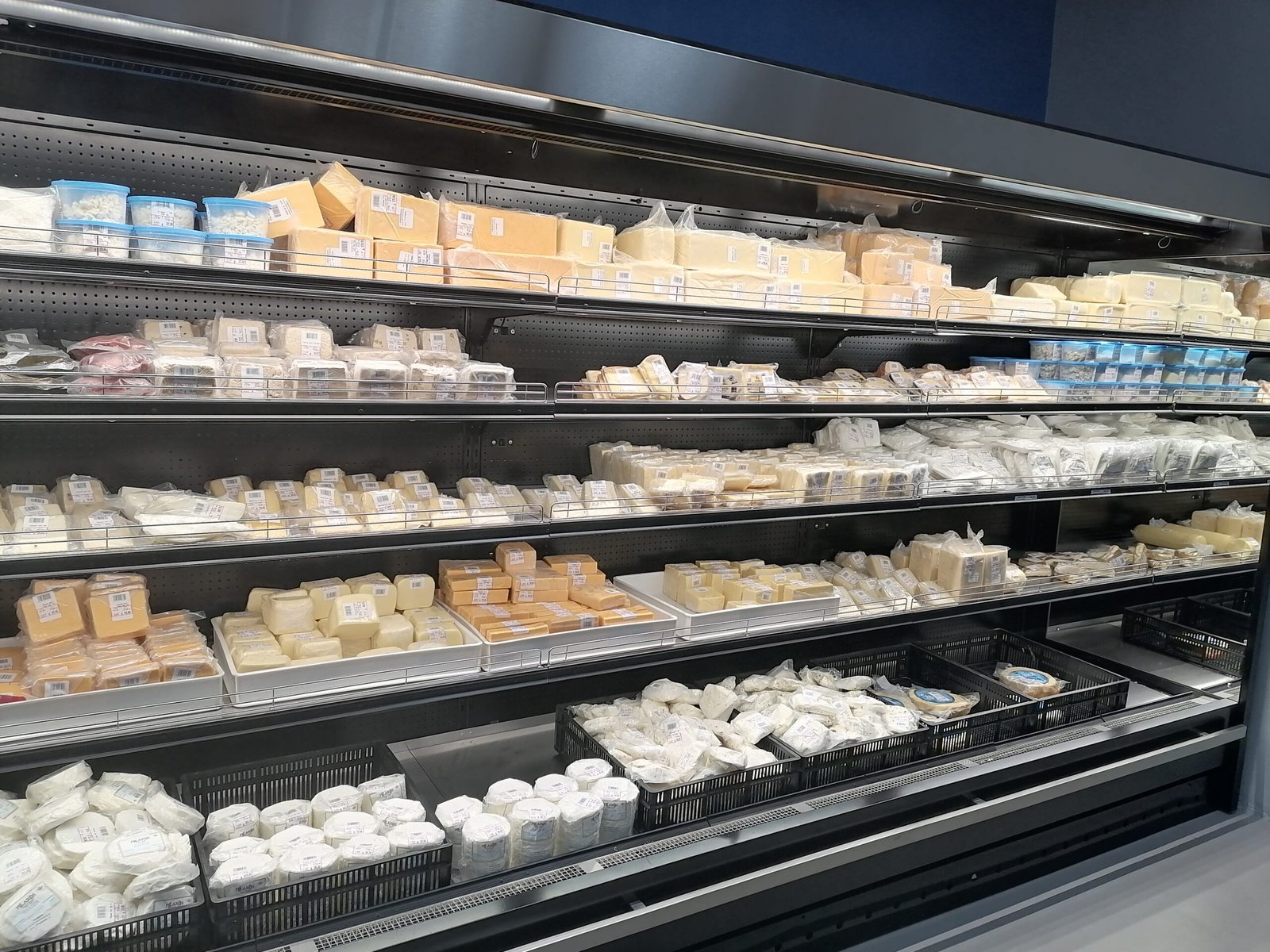 Cheese display case at Pilaros